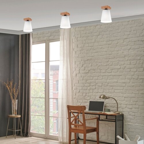  Plafonski luster LULA 1xE27/60W/230V hrast Slike