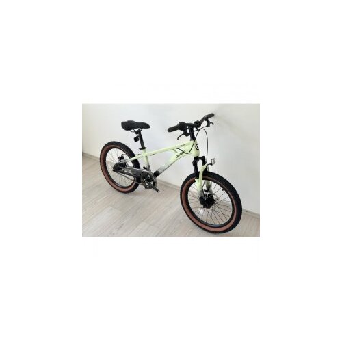  Dečiji bicikl 20 green BCK0803 Cene