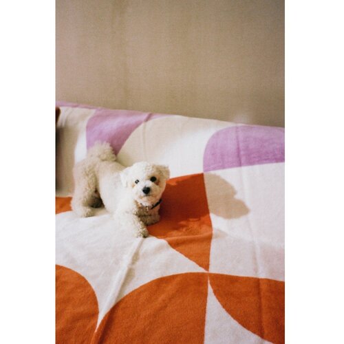 Noo.ma Odeja 150x200 cm Tul &amp;ndash; Slike