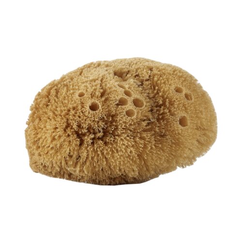 Avril natural body sponge Cene