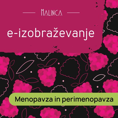  E-izobraževanje: Menopavza in perimenopavza Cene