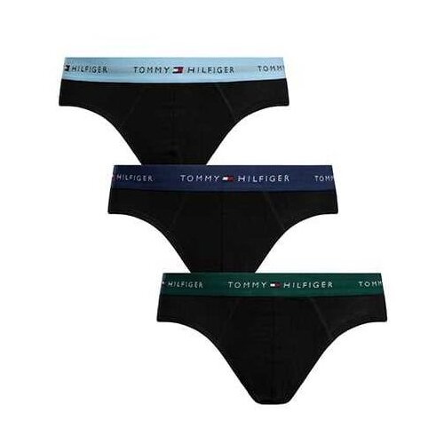 Tommy Hilfiger muški slip u setu Cene