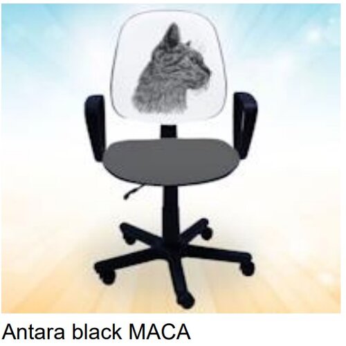 Olimp Sport Dečija stolica Antara black Maca Cene