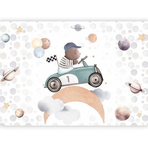  Foto tapeta - Teddy Bear in a Racing Car 500x350 Standard Cene