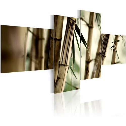 Slika - Bamboo inspiration 100x45