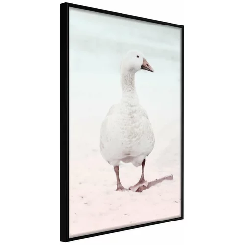  Poster - Walking Goose 40x60