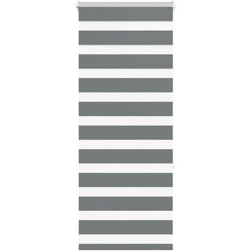 VidaXL Zavjesa zebra 60x150 cm &amp;scaron;irina tkanine 55,9 cm poliester Slike