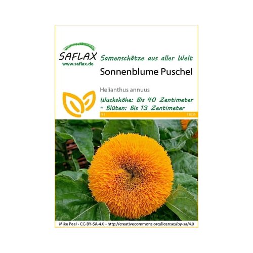 Saflax Sončnica Puschel Cene