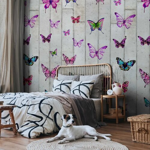  Tapeta - Butterflies and Concrete 50x1000 Standard Slike