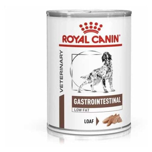 rcvd dog gastrointestinal low fat konzerva 400g Slike