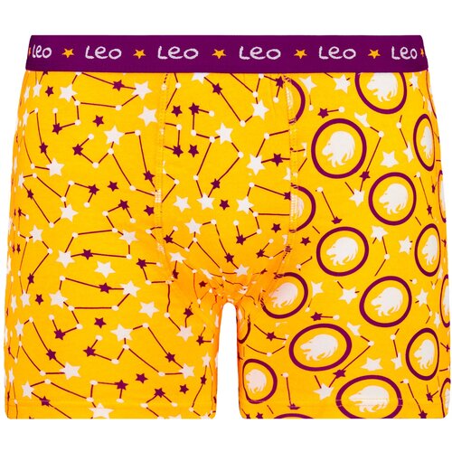 Frogies Men's boxers Zodiac Lev Cene