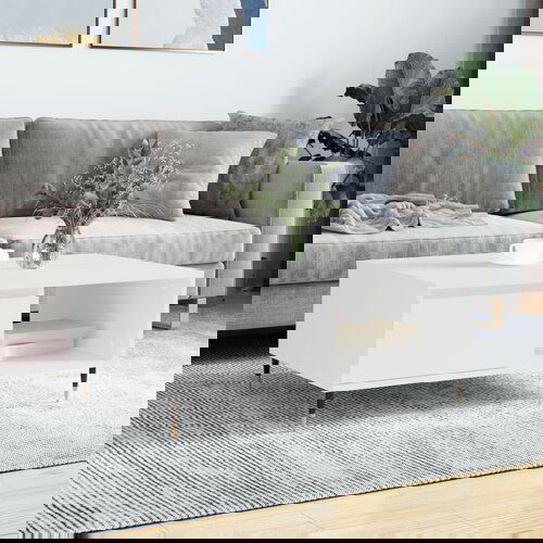 VidaXL Stolić za kavu bijeli 90 x 60 x 35 cm od konstruiranog drva Slike