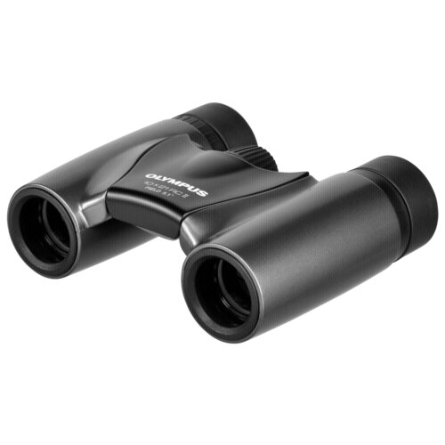 Olympus Slim 10x21 RC II Dark Silver Slike