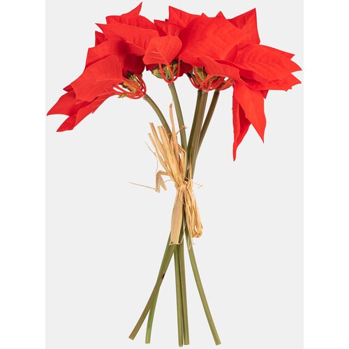 Sinsay DECORATIVE PLANT Slike