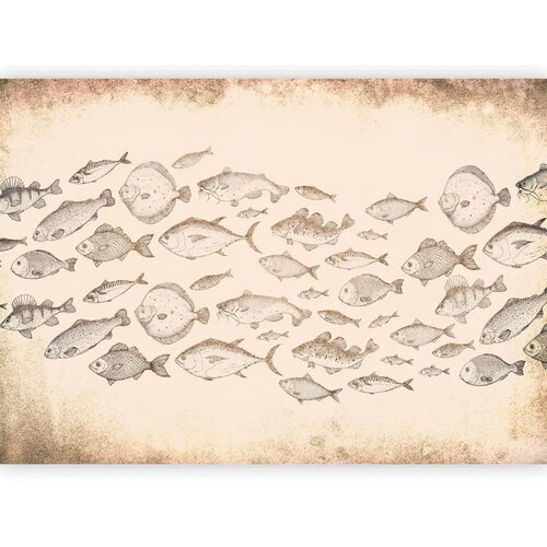  Foto tapeta - Subtle fish 100x70 Standard Cene