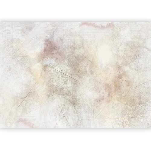  Foto tapeta - Summer memory - abstract background with shadow of dried leaves 100x70 Slike