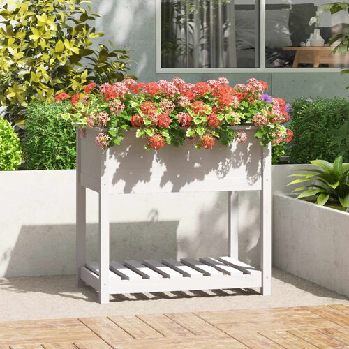 VidaXL Sadilica s policom bijela 82 5x54x81 cm od masivne borovine Slike