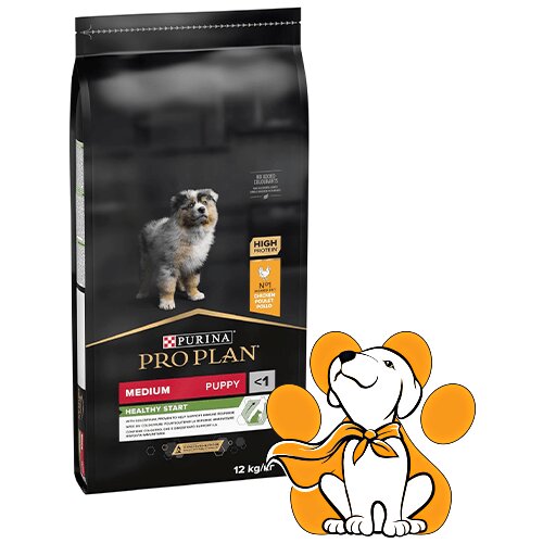 Purina Pro Plan large Robust Puppy Healthy Start 12kg, Suva Hrana za Štence Cene