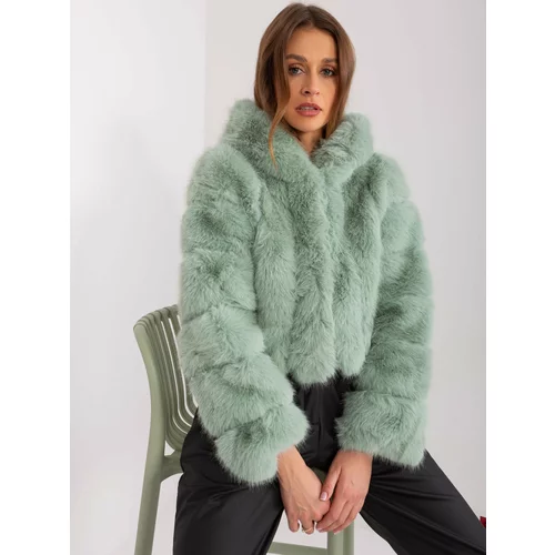 Fashion Hunters Pistachio Women's Eco-Friendly Fur Jacket