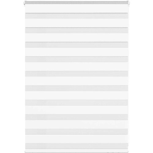 vidaXL Zavjesa zebra 100x100 cm širina tkanine 95,9 cm poliester Cijene
