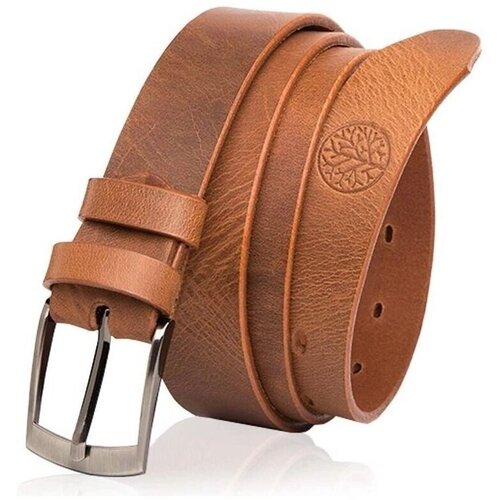 Betlewski LIC300CAMEL10560397 sarena Slike