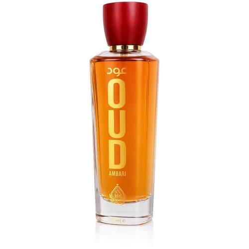 House Of Perfumes Oud Ambari parfumska voda 100 ml unisex Cene