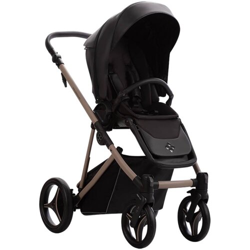 Bebetto dječja kolica Pelpasso PRO 03/Cashmere 3u1 B Slike