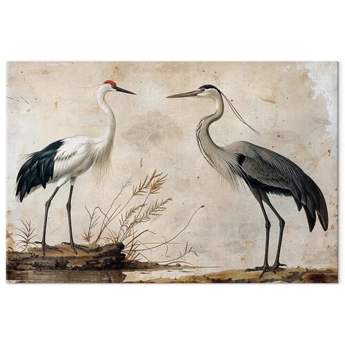  XXL slika - Birds from an old engraving - vintage-style illustration depicting a heron and a crane 160x107 Slike