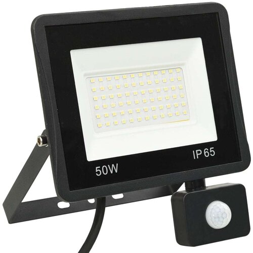 VidaXL LED reflektor s senzorjem 50 W hladno bel Slike