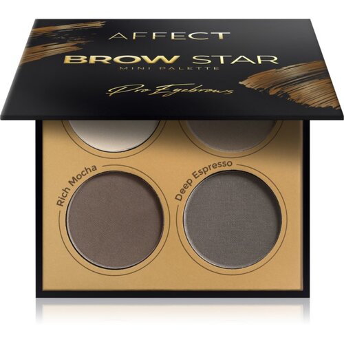 Affect Brow Star paleta puderastih nijansi za obrve 4x2 g Cijene
