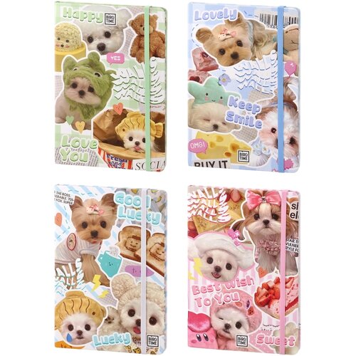  Pino, notes, Dogs, odaberite format Slike