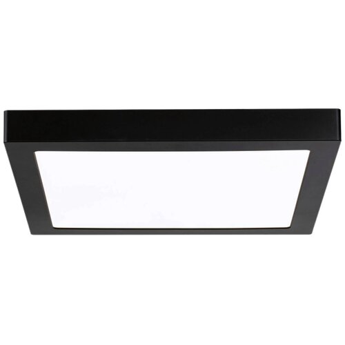 PAULMANN 71026 - LED/22W plafonska svetiljka ABIA 230V crna Slike