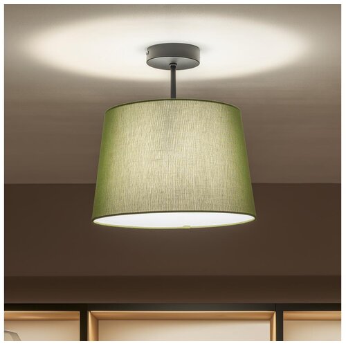 Brilagi LED plafonski luster CERIA 1xE27/60W/230V prečnik 30 cm crna/zelena Slike