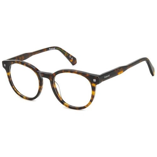 Polaroid PLDD519 086 ONE SIZE (50) Havana/Kristalna Cene