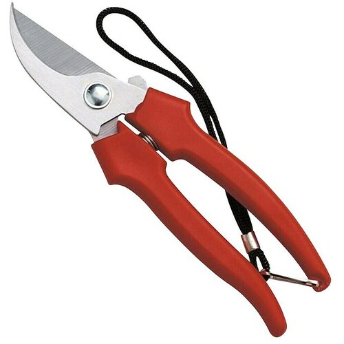  Vrtne škare za berbu grožđa (19 cm) Cijene