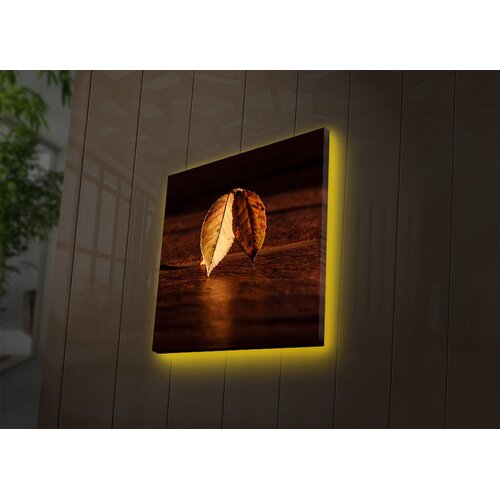Wallity Zidna slika sa LED osvetljenjem 4040DACT-36, 40x40 cm Cijene