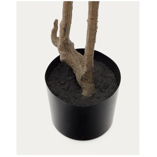 Kave Home Umetna rastlina (vi&amp;scaron;ina 214 cm) Enkianthus &amp;ndash; Slike