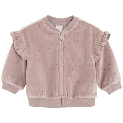 Cool club jopa DR CCG3102466 D rjava 68 Cene