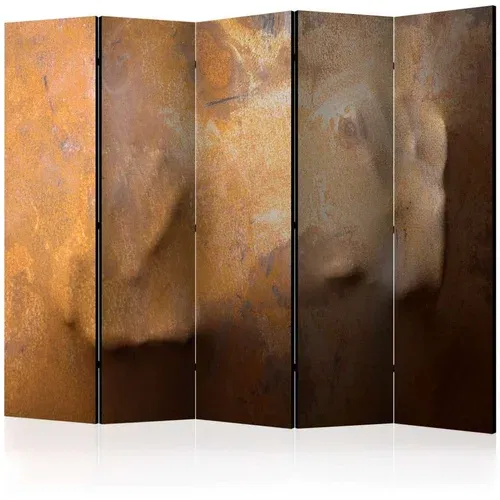  Paravan u 5 dijelova - Touch II [Room Dividers] 225x172