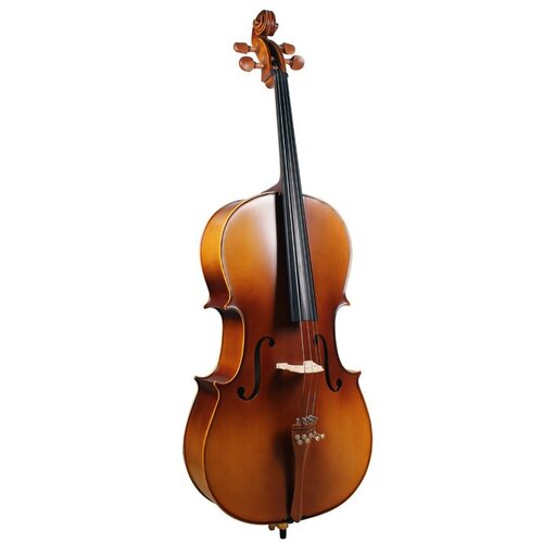 Wakertone Violončelo WCL-12, 3/4 Cene