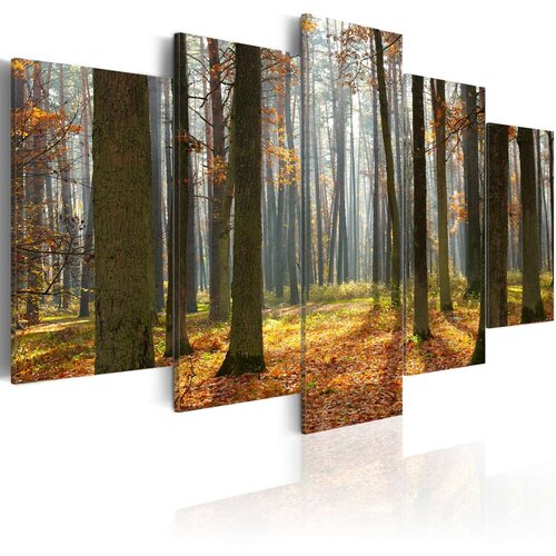  Slika - A nice forest landscape 100x50 Cijene