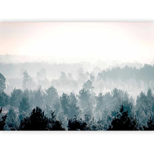  Foto tapeta - Winter Forest 441x315 Samoljepljiva Cene