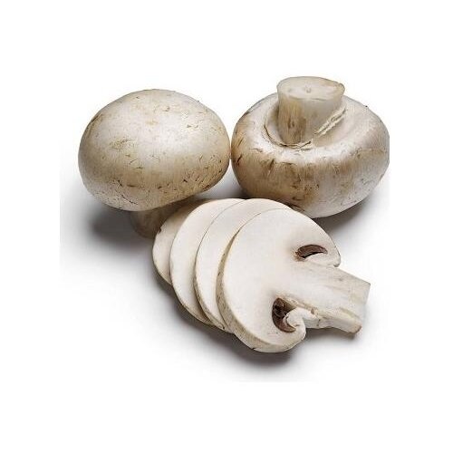  Šampinjoni 400g Cene
