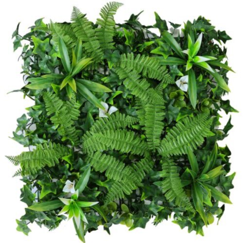 TGC Zeleni zid bromelia-paprat mix 50x50cm Cene