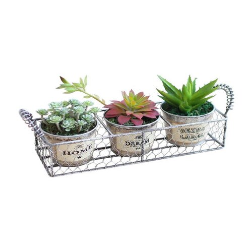 Master Saksije limene set 3/1 01231209 Slike