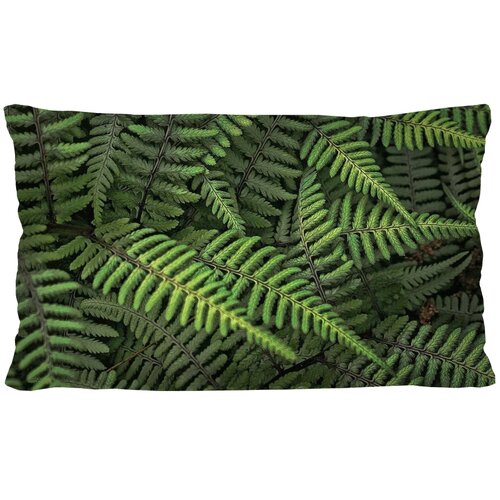 Bertoni Home unisex's rectangular pillow ferns Slike