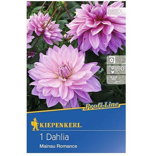KIEPENKERL Profi-Line Lukovice jesenskog cvijeća (Dahlia 'Mainau Romance', 1 Kom.) Cijene