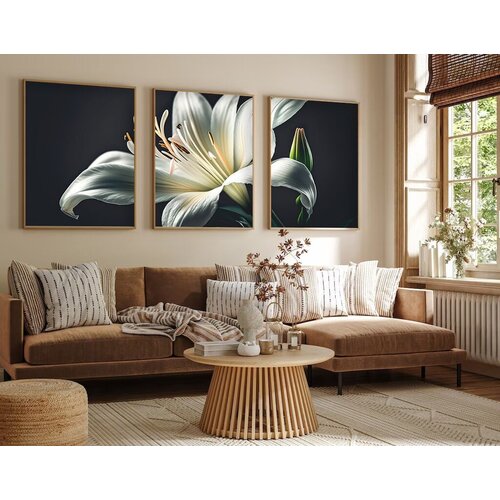 Wallity uramljena slika Huhu224, 35x50 cm , 3 dela Cene