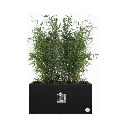 ELHO Korito za rastline vivo next lang - 80 cm Cene