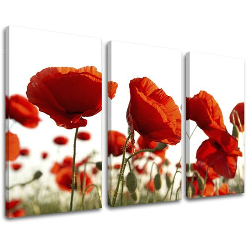  Slike na platnu 3-delne CVIJEĆE KV118E30 (moderne slike na) Cijene
